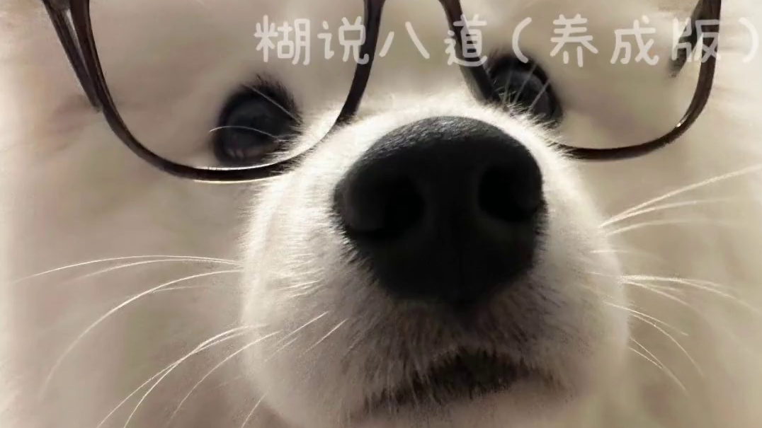 还能愉快的玩耍吗…… #辟谣 #谣言 #万万想不到 #每日推荐 #离谱