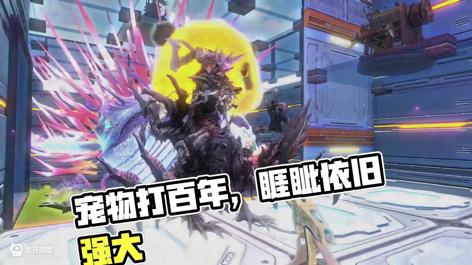 以前宠物打百年VS现在宠物打百年，睚眦还是太强了呀 #妄想山海 #宠物 #睚眦 #游戏日常