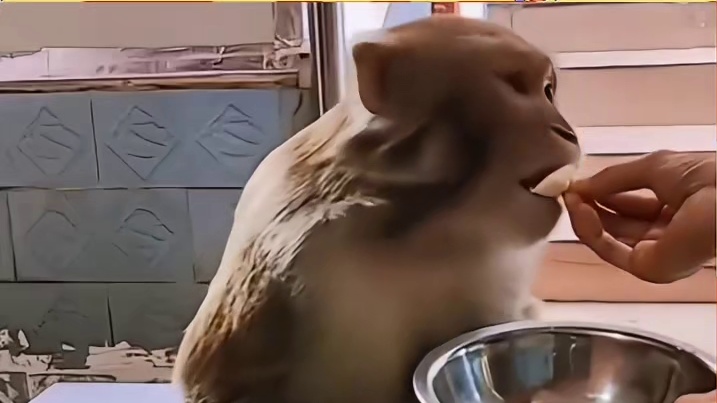 撒丫子跑具象化了