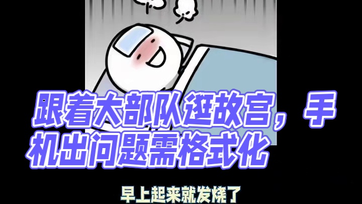 逛故宫一定要跟着大部队