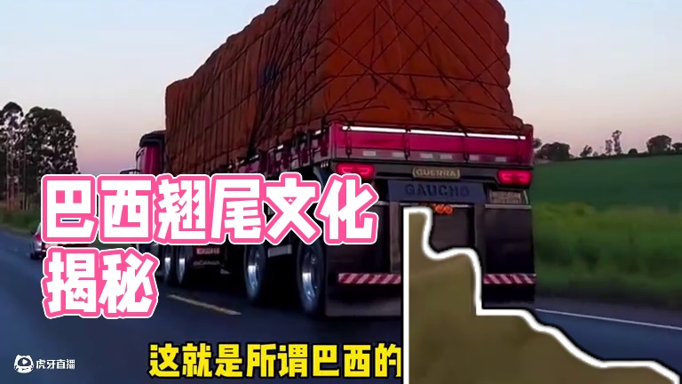 巴西翘尾文化…#巴西 #卡车 #改装