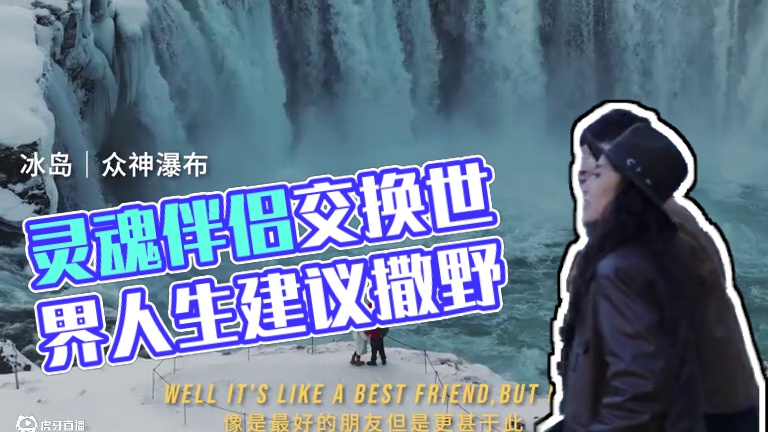 灵魂伴侣，也可能是你最好的朋友 #野生玩家 #交换世界计划 #人生建议去撒野 #是撒野之旅也是人生之