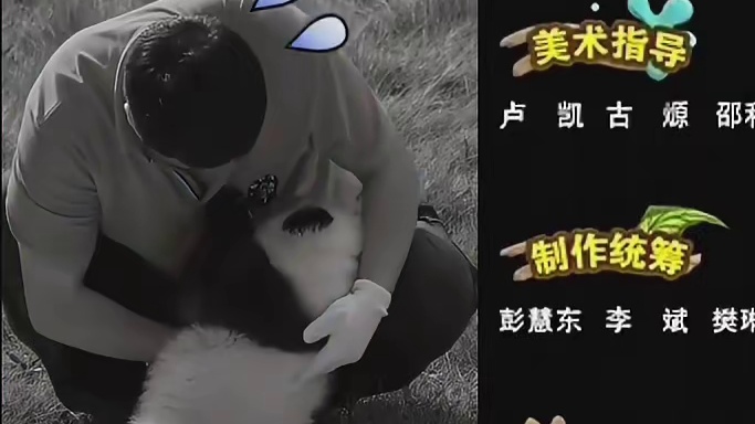 奇三妹小小年纪也是当上下班困难户了