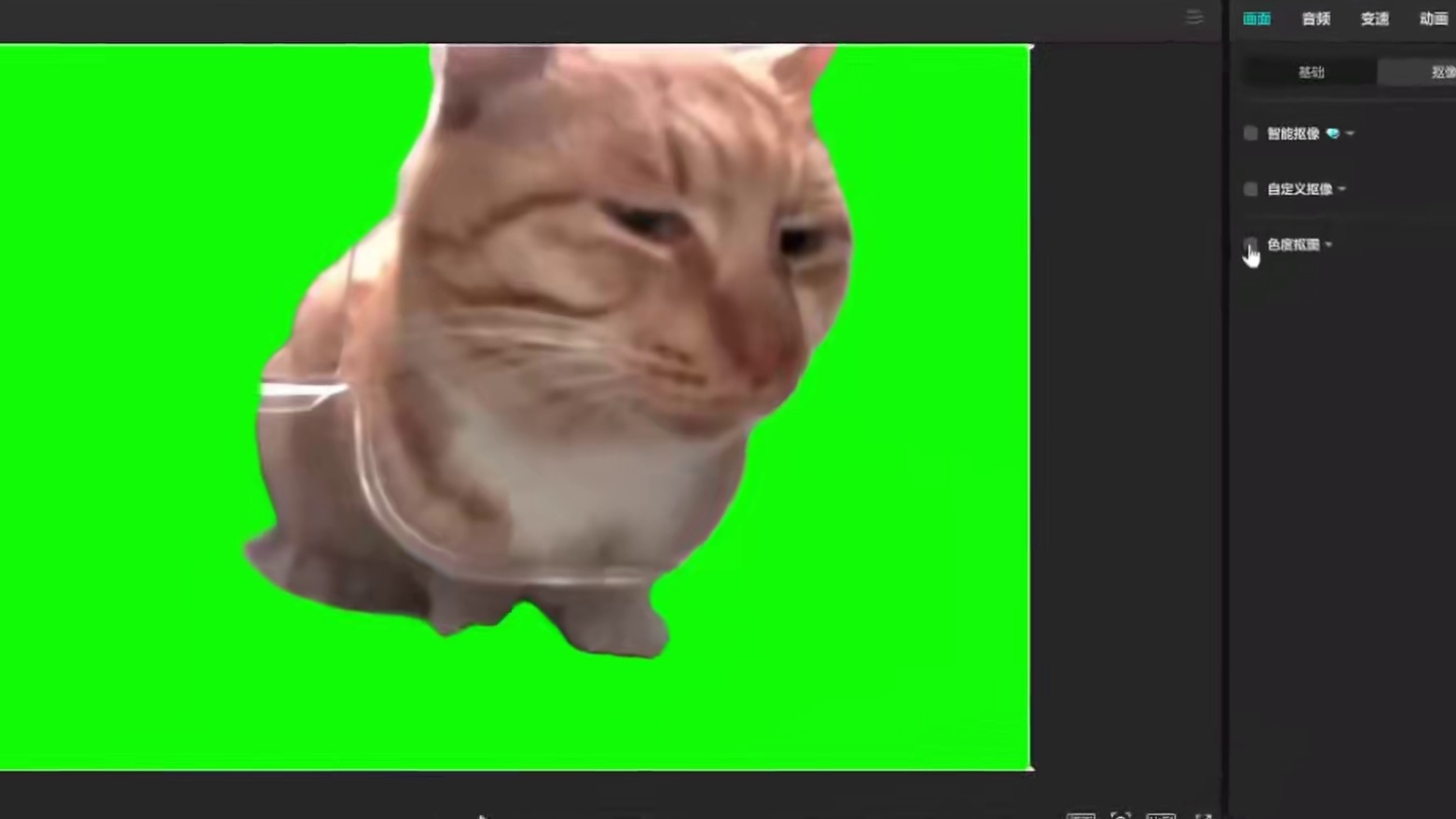 看完本期教学，从此制作猫meme视频EE又ZZ~ #永劫无间手游   #永劫无间手游绮梦赛季