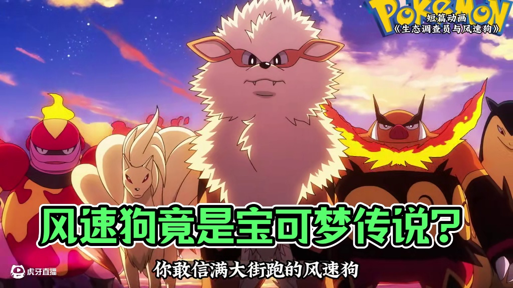 满大街的风速狗竟是传说中的宝可梦？ #神奇宝贝 #宠物小精灵 #童年动画 #口袋妖怪