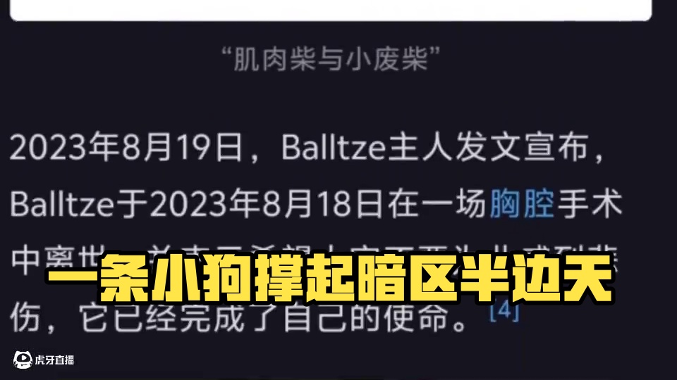 一条不起眼的小狗撑起了暗区半边天 