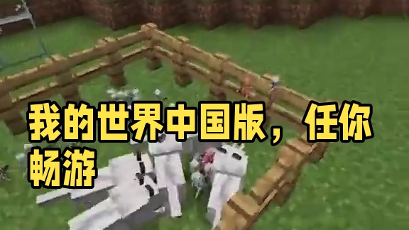 #我的世界 #我的世界中国版 #我的世界任你畅游