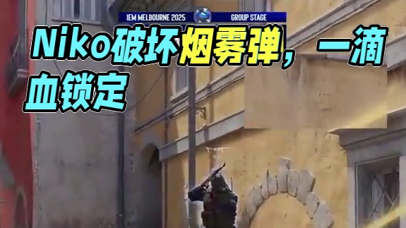 一滴血的Niko想破坏烟雾弹 #csgo #cs2 #niko #大主播冬瓜强