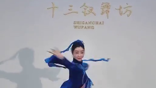 你与我先谈养心殿《精卫》 原创