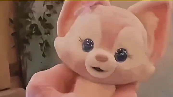 动物界原来也有自己的哨岗，羚羊会站在小山包上一动不动，向导讲它们是在站岗在保护自己的家族。