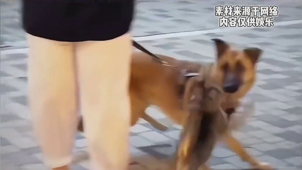 这老祖宗严选的品种就是不一样啊