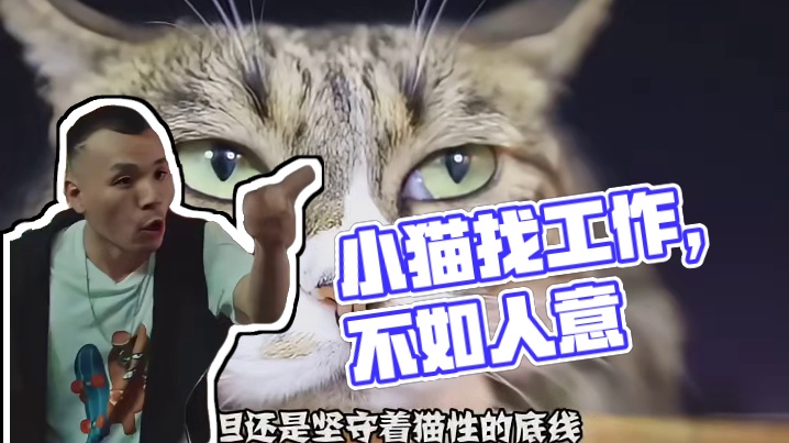 哪个小猫能经得起这种考验啊