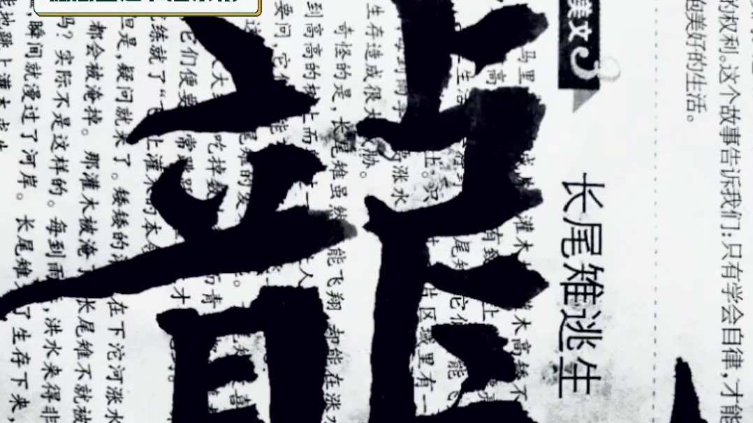 在哪一行哪一业都要占据制高点才有话语权 ？