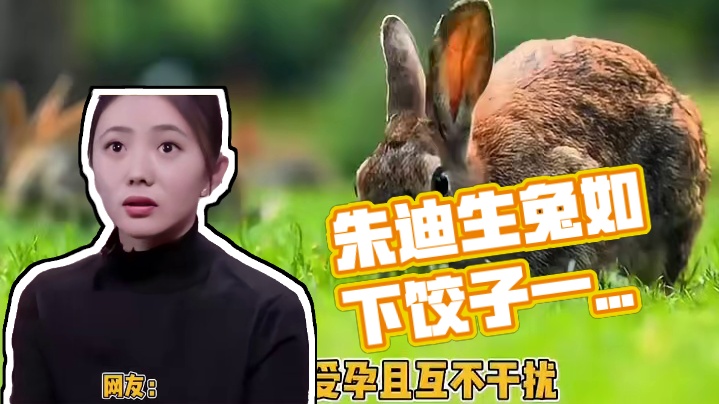 怪不得朱迪有275个兄弟姐妹