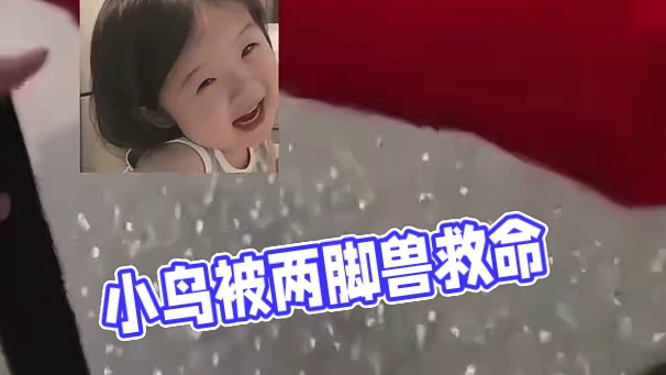 小鸟：唉呀妈呀，感谢两脚兽救我狗命啊