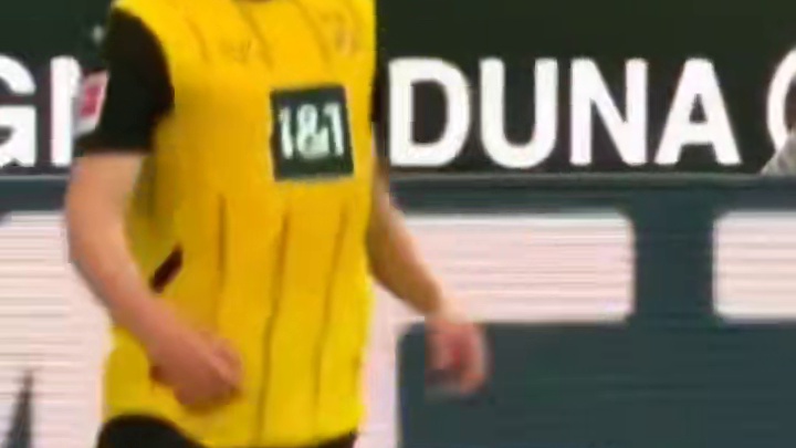 多特蒙德的球场从不缺乏激情的北欧小伙 #足球