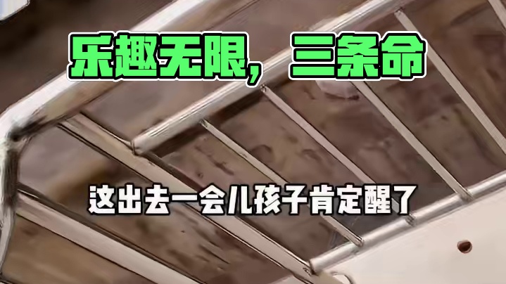 九条命也不够造