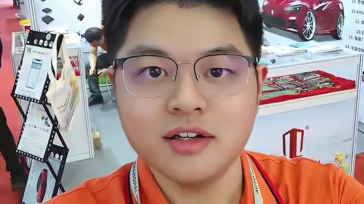 上海雷卯电子在2025年这场汽车科技盛宴