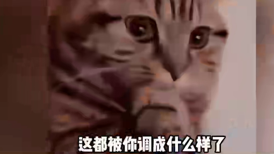 这都被你调成什么样