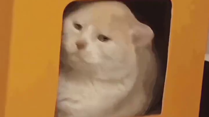 不是，你们网恋奔现都这么尴尬呀