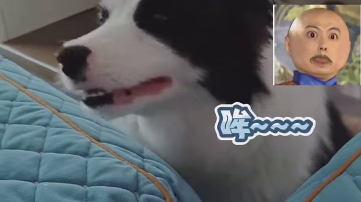 像极了打王者想开麦的我