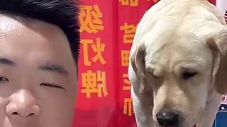 主要是怕咬到你，不然絕對咬得到