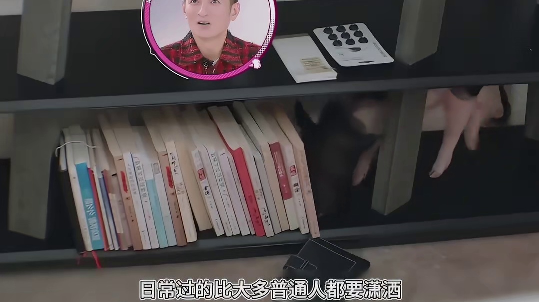 单身富婆的生活有多快乐？宋茜一顿饭点七个菜，宠物猪比人还幸福