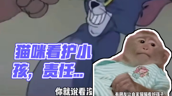 猫猫：我办事你放心