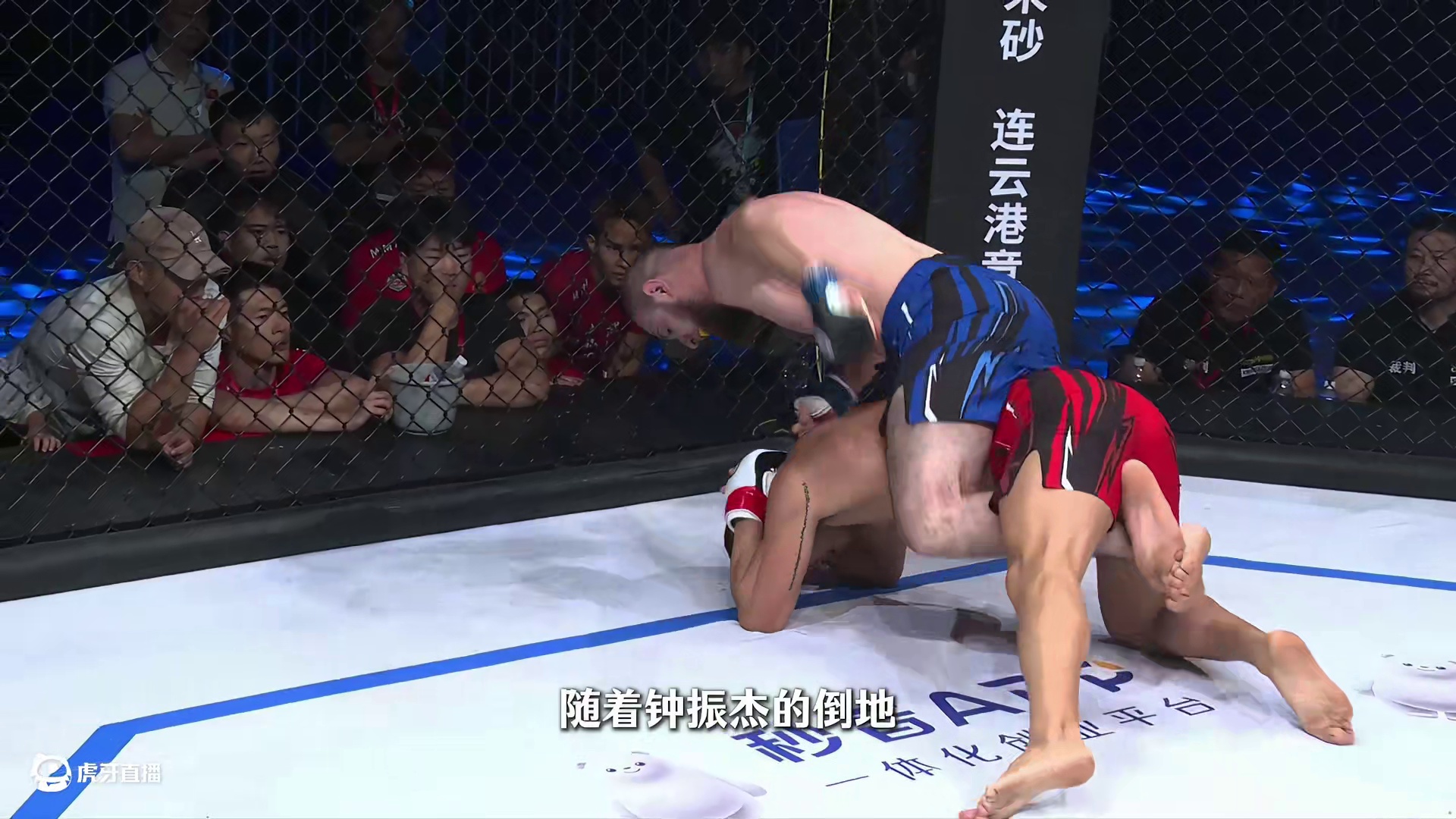 钟振杰VS哈桑别格夫