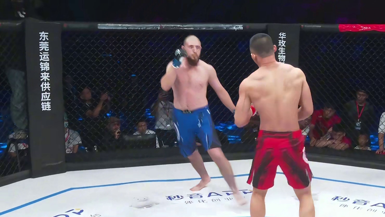 钟振杰VS哈桑别格夫