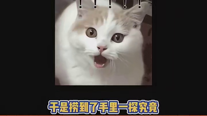 还是第一次见玩这个东西的