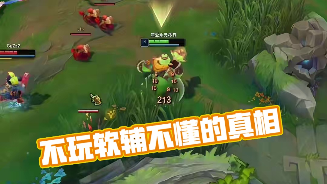 我不玩软辅不代表我不会