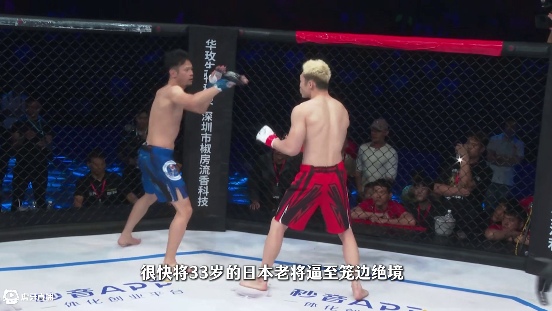 张朝VS齐藤佑生