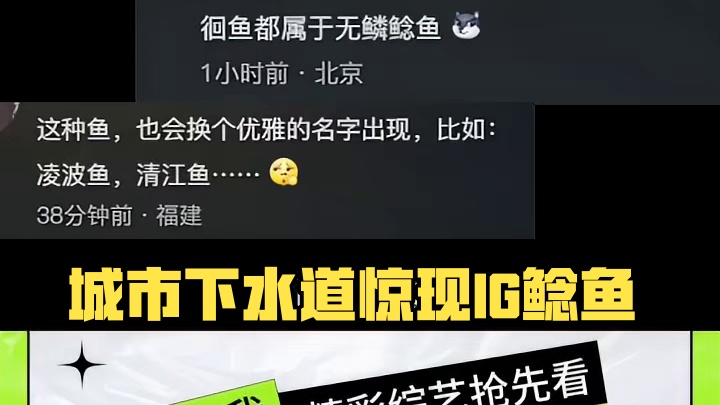 这种鱼到底有多脏啊