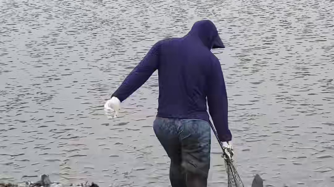 抢潮头鱼小哥眼疾手快，动作敏捷，一个箭步冲向潮头，干净利落捞得大鱼，然后迅速从潮头安全撤离，一气呵成