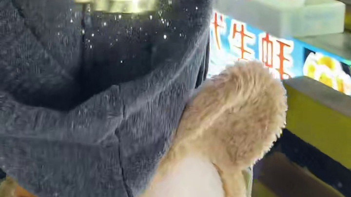 五一来一场night walk!东莞联益村夜市美食一条街名不虚传，超有烟火气！人均不到30吃到扶墙！