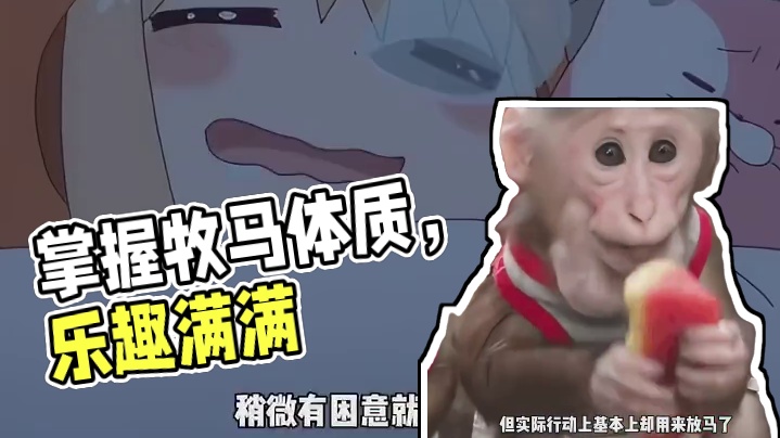 什么是牧马体制