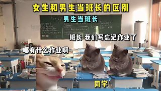女生和男生當(dāng)班長(zhǎng)的區(qū)別