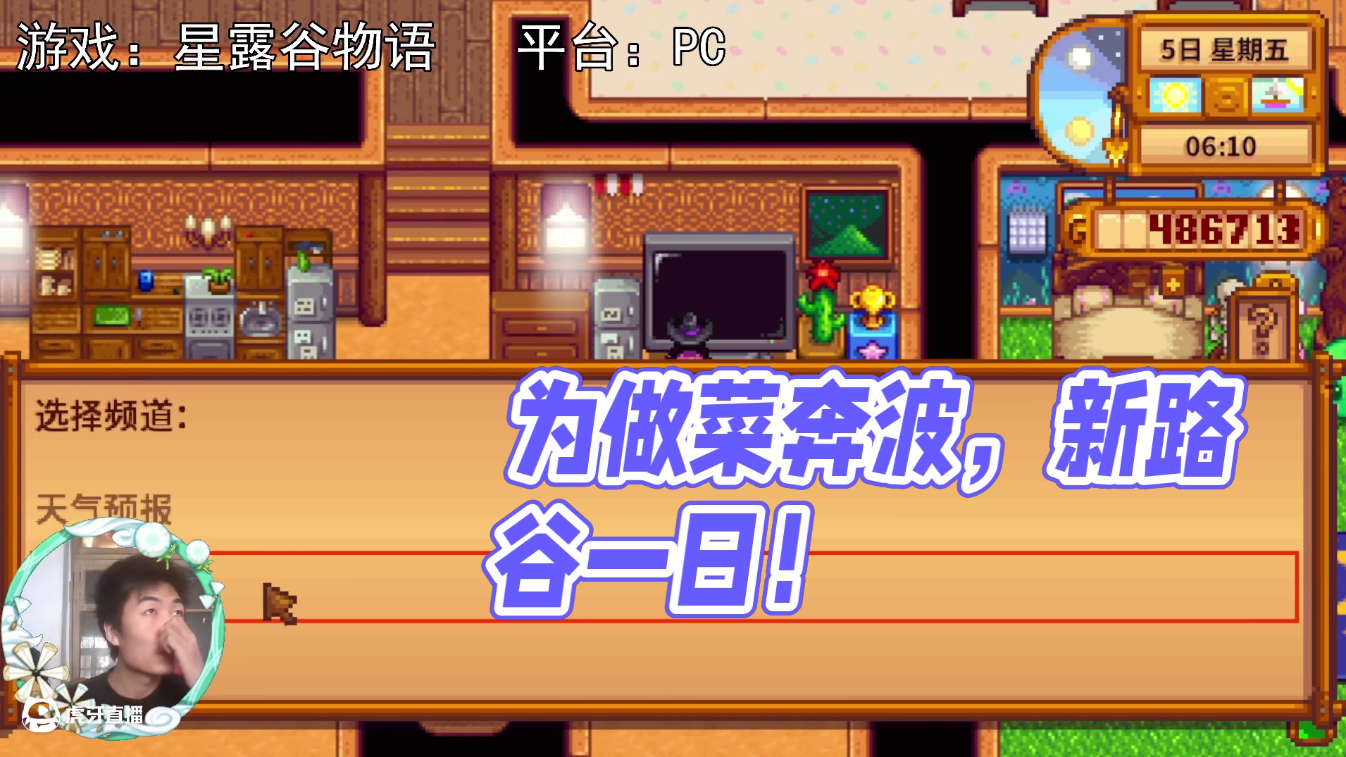 【星露谷物语】为了做菜，奔波的一天！