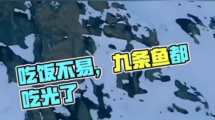 我吃顿饭也不容易！