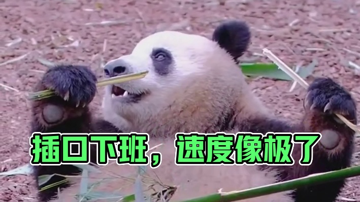 这速度像极了掐点下班的我