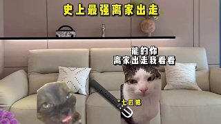 史上最強離家出走