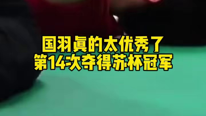 国羽3-1击败韩国，苏杯完成四连冠