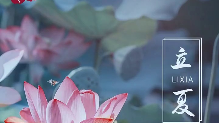 枇杷黄时，绿浪漫过山脊，云朵在贩卖蝉鸣。
#立夏 #节气 #传统文化