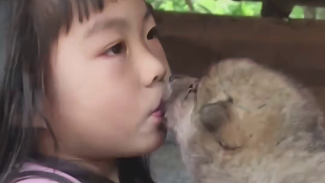 这就是被狼偏爱的小女孩吗