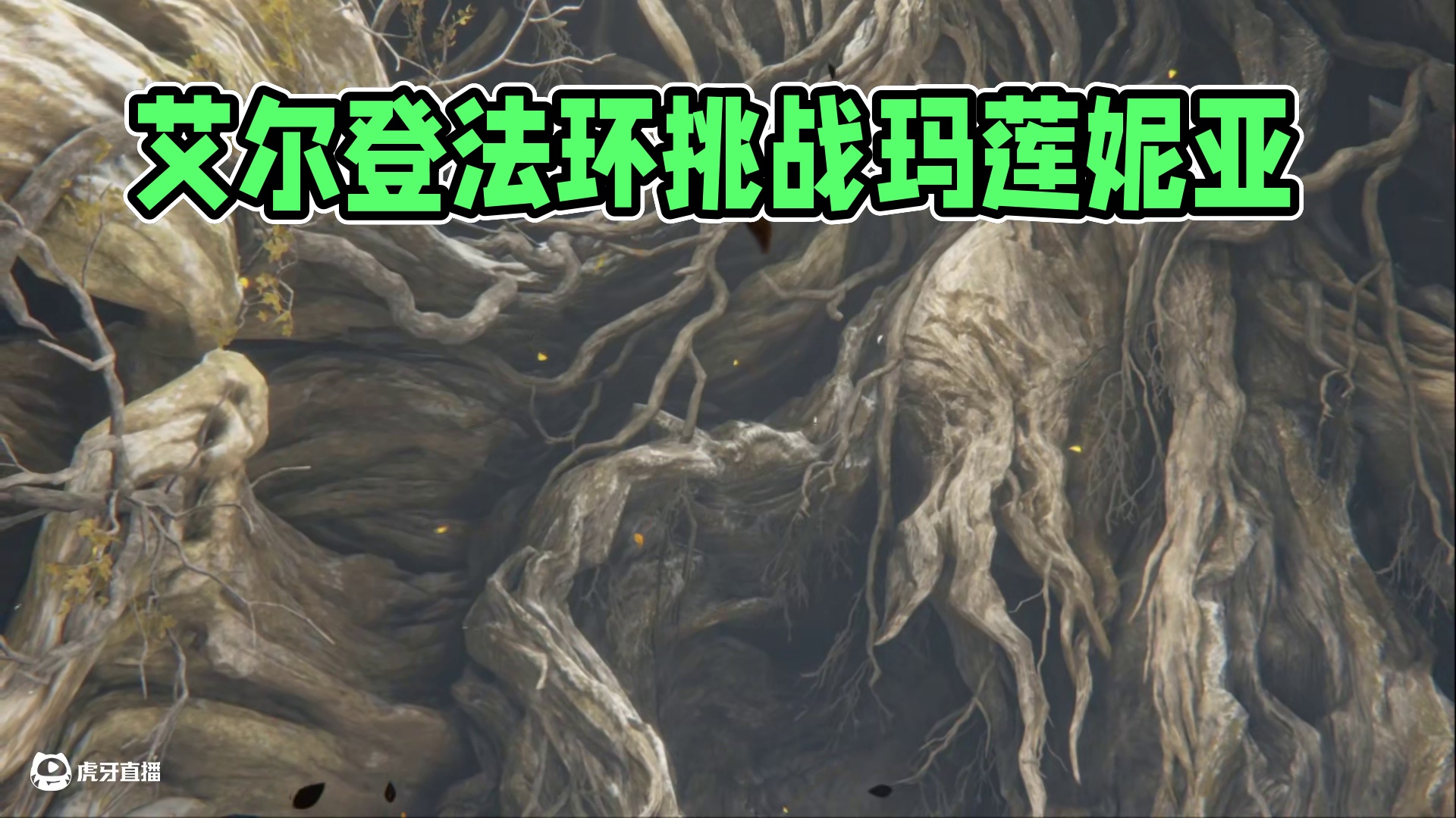 艾尔登法环全游戏最难打BOSS玛莲妮亚