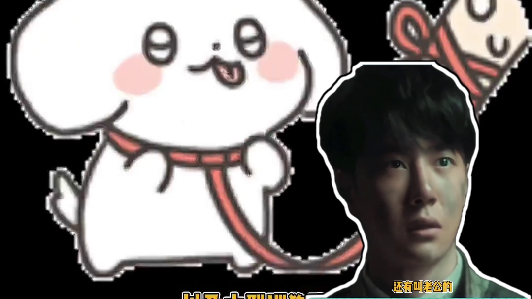 李佳航:我才是她老公啊#李晟 #乘风破浪的姐姐 #李佳航 #娱乐评论大赏