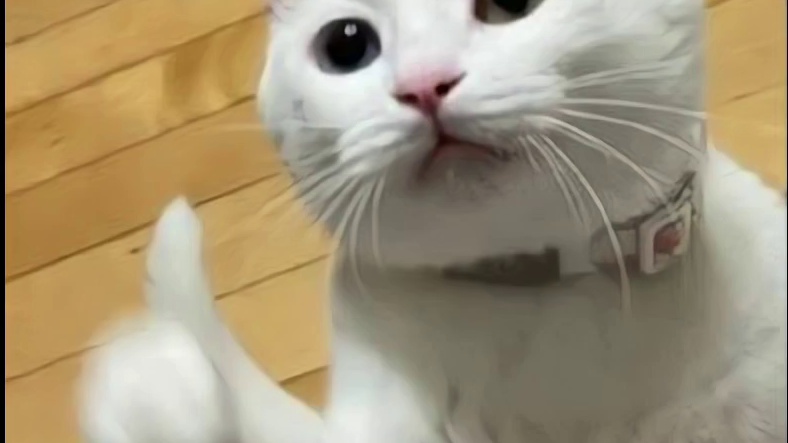 神话冒险，等你展开！ #守卫山海  #全新国风