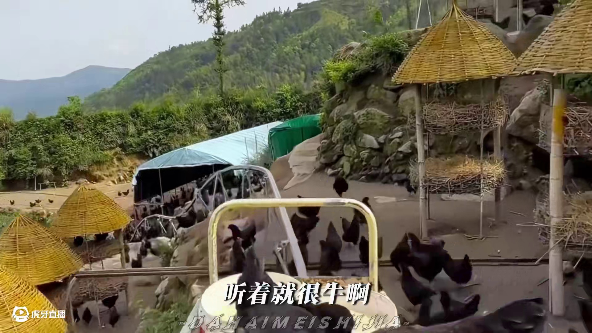 甚比蟹黄一样的麻酱鸡蛋你吃过吗？口感莎莎糯糯 来自天津的特色美食，蛋黄起沙流油真是巨好吃啊#麻酱鸡蛋