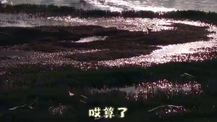 【黑颈鹤微短剧】第十集-湖中怪圈 探险上头 